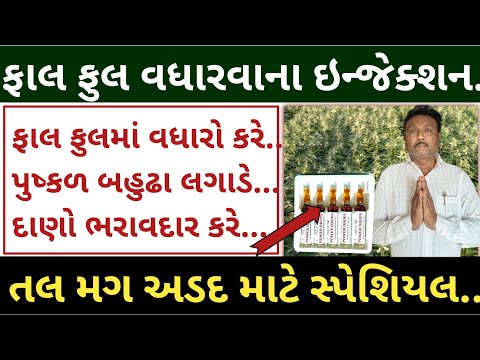 35 થી 65 દિવસના તલમાં આ દવા ભૂલ્યા વગર છાંટી દેજો = પુષ્કળ ફાલ ફુલ અને બહુઢા લાગશે 💥 | khedut sahay