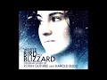 Harold budd  robin guthrie  white bird in a blizzard ost 2014 full album hq