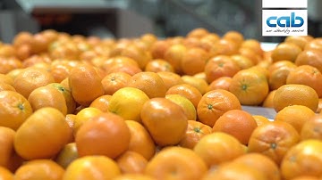 cab case study: fruit and vegetable labeling with Hermes+ at Pakstation Venlo