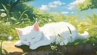 LULLABY for day with white kitty. Quick and healthy sleep for babies, princesses and prince.