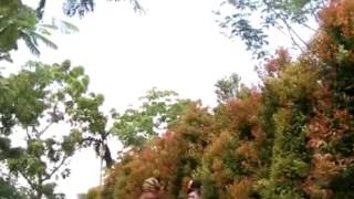 Lagu sasak moderen BEJANJI. lombok mantab