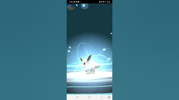 shiny eevee to shiny espeon