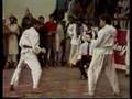 Ehsan shafiq kung fu fighter