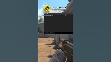 DONK’s CS2 viewmodel settings (full guide)
