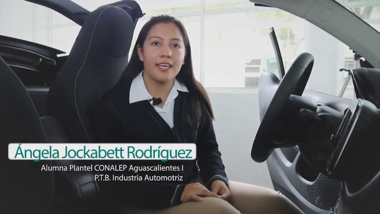 MODELO DE GENERO / PRESENTADO POR PAULINA SALAS GALVAN YouTube