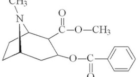 Drawing  Organic Structures: MolView
