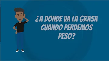 ¿Adónde va a parar la grasa que no se utiliza?