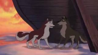 Balto and Kodi: I've Been Watching You