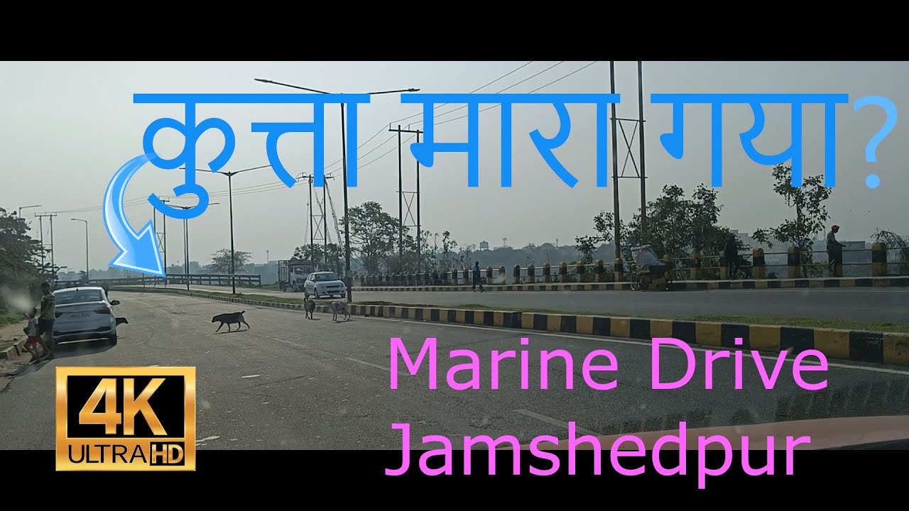 Marine Drive Road trip in Jamshedpur We saved Dog at Marine drive of