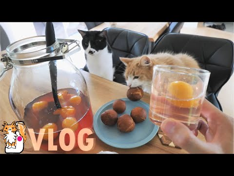 Homemade Japanese Plum Juice and Donuts