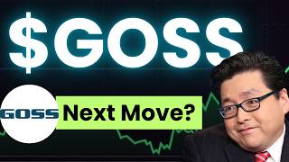 GOSS Stock Analysis Today Gossamer Bio Stock Prediction & Price Target GOSS Stock Forecast & News