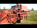 жнива 2018 овёс и Massey Ferguson (Моисей)