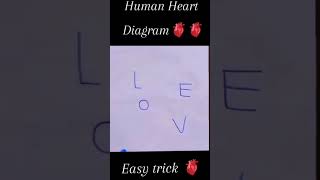 Heart Diagram Kaise Banaye How To Draw Heart Diagram With Easy Step ? Heart Diagram