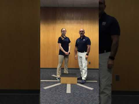 Core 6: Box Step Ups