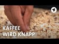 Klimakrise gefährdet den Kaffeeanbau in Kolumbien | Weltspiegel