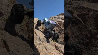 feeling planted # dluxfab #holmeshobbies #prolineracing #rccrawler