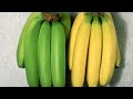 الموز الاخضر جدا واسرع طريقة تخليه يستوي او ينضج بالبيت ويبقى جاهز للاكل بدون فلسفة وتعقيد 
