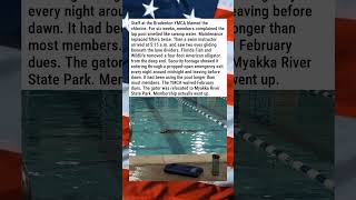 FUGITIVE ALLIGATOR FOUND LIVING IN YMCA POOL 🐊🏊😂