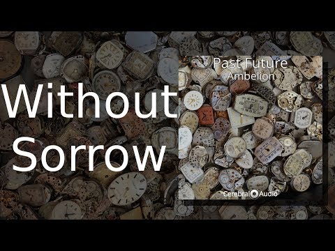 Ambelion — Ambelion: Without Sorrow [Track 07: Past Future]