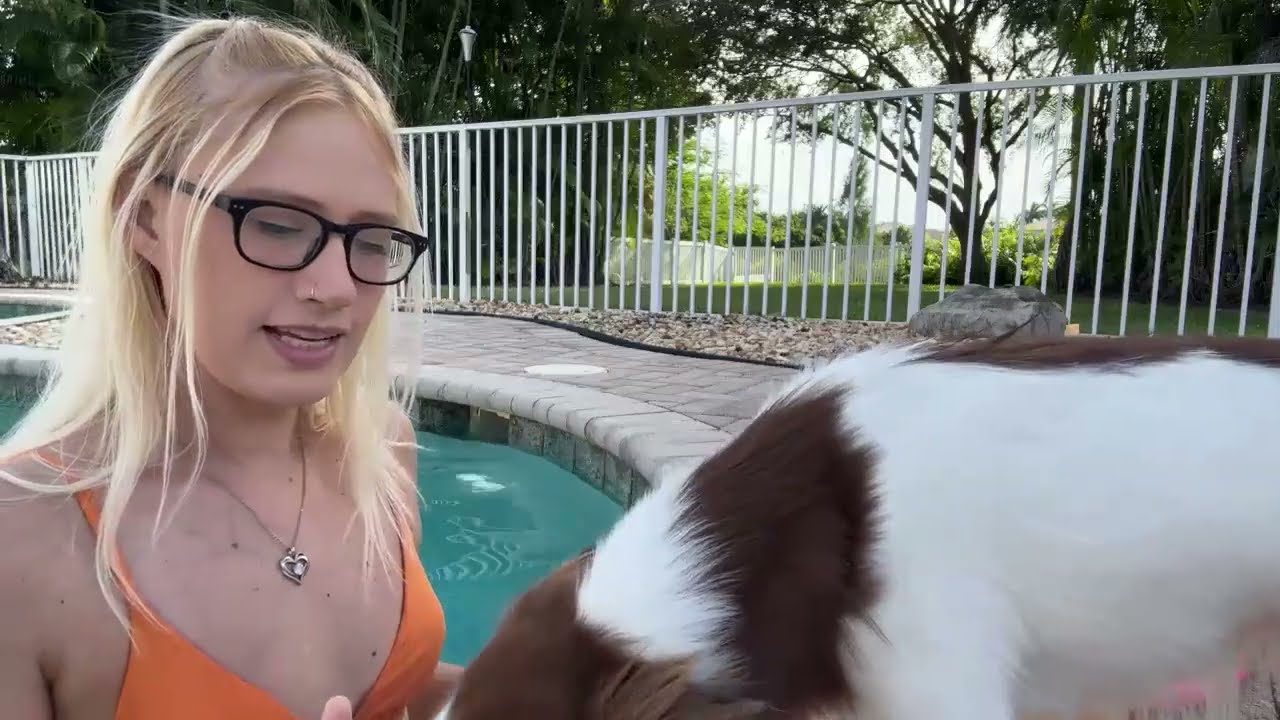 Jenbear's pool stream