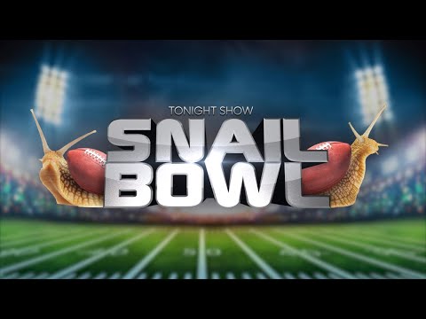 The Tonight Show Snail Bowl - The Tonight Show Snail Bowl