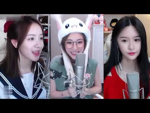 馮提莫周二珂阿冷甜蜜暴擊！鬥魚三姐合唱《有何不可》