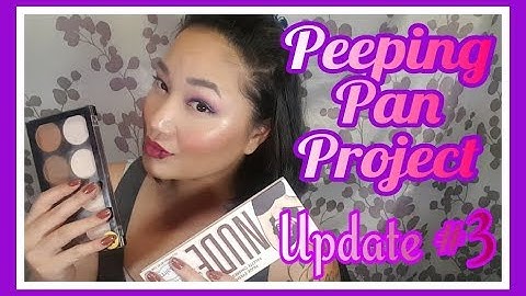 Peeping Pan Project - Update #3