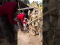 👉 सरस्वती पूजा 🙏 mitti ka murti || #trending #sorts #video