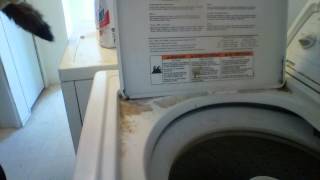 how i wash my stuffed animals