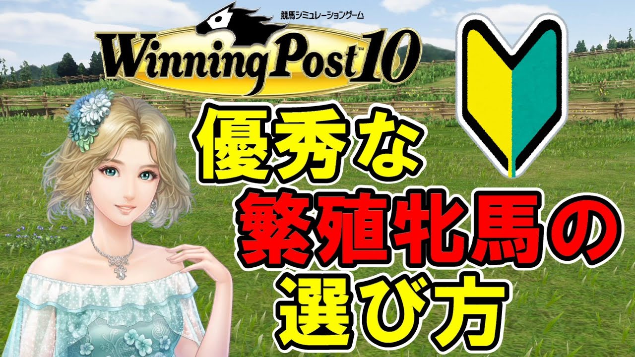 【ウイニングポスト10】初心者向け優秀な繁殖牝馬の選び方【解説】