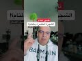 تفسير حلم رؤيا الشجرة الخضراء بالمنام أشرف العسال مفسر احلام تفسير الاحلام الشجرة Foryou 