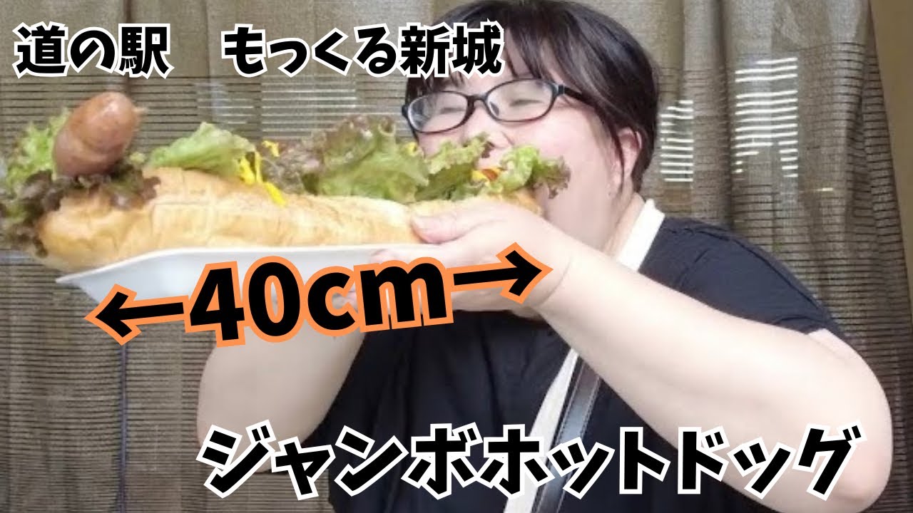 【愛知】新城の道の駅で見つけた40cmのジャンボホットドッグとお太り様