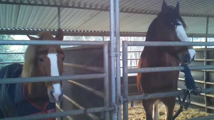 JESTER AND MIKE