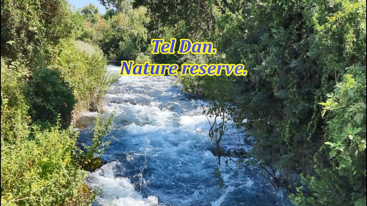 Tel Dan Nature Reserve.Природный заповедник Тель Дан.שמורת הטבע תל דן