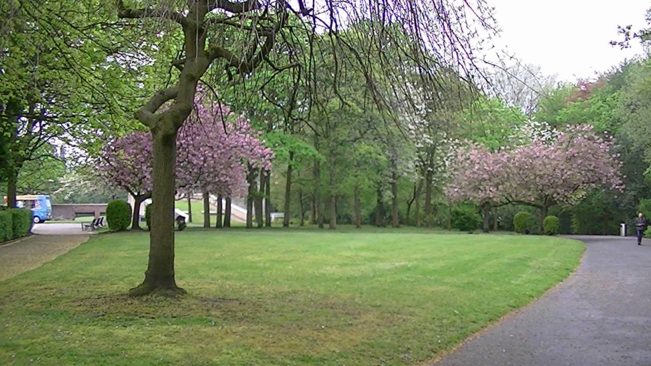 Tameside Stalybridge Stamford Park Love Your Garden ama il tuo