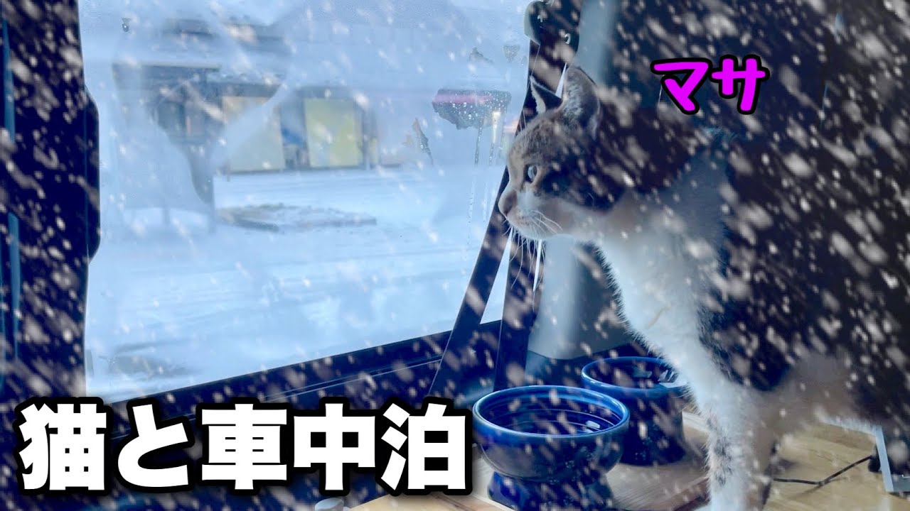 【Автомобильный кемпинг во время метели】Бунт в виде кошки активирован