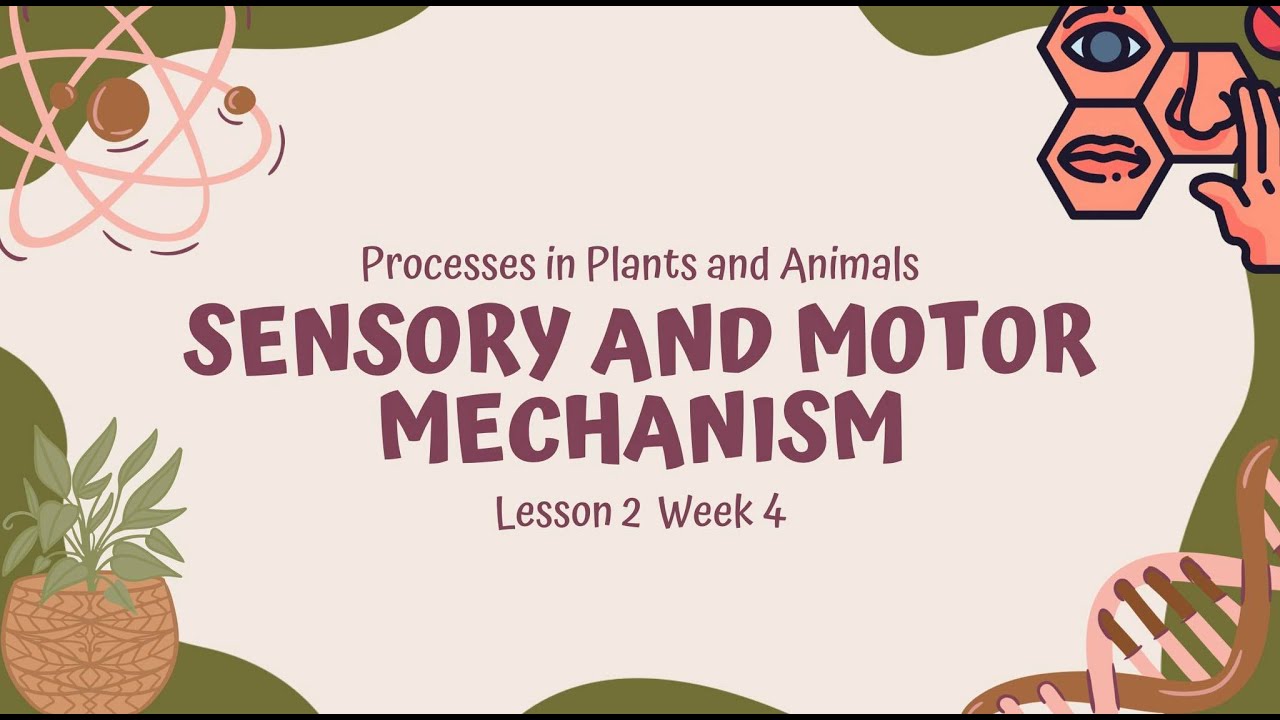 Processes in Plants and Animals: Sensory and Motor Mechanism (GROUP K ...