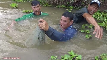 Ra ao bắt cá về nướng không may bị cá trê phăn đòn - cdmt 837