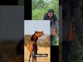 Let’s watch and be happy