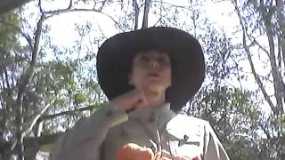 ArcSoft Video1