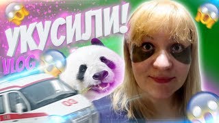 Так БОЛЬНО УКУСИЛА VLOG Так БОЛЬНО УКУСИЛА VLOG