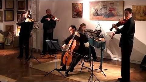 Tomaso  Albinoni Violin concerto in C ( Adagio) - Vincius De moraes 