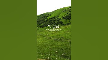 سورة الأحقاف [ ١٥ ] ووصينا الإنسان بوالديه احسانا حملته أمه کرها ووضعته كرها #اسلام_صبحي