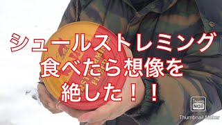 シュールストレミング食べたら想像を絶した！
