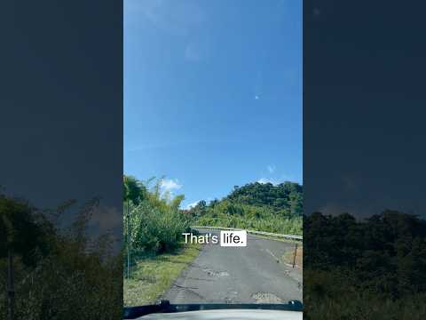 Words of encouragement for today.