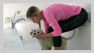 BATH WITH MY DOG! | iJustine
