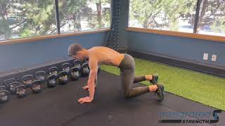 Quadruped Plank