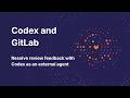 Resolve review feedback with Codex as an external agent