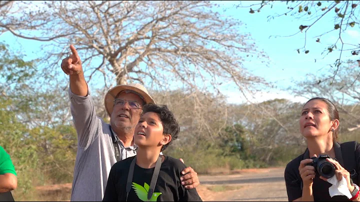 City Nature Challenge 2019 - Mazatlán