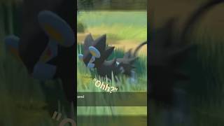 Unaware Luxray